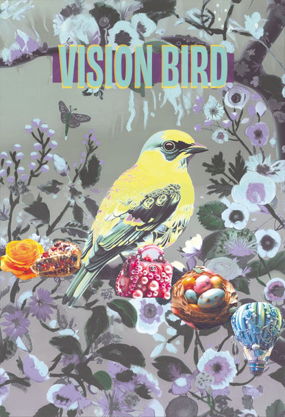 Vision Bird